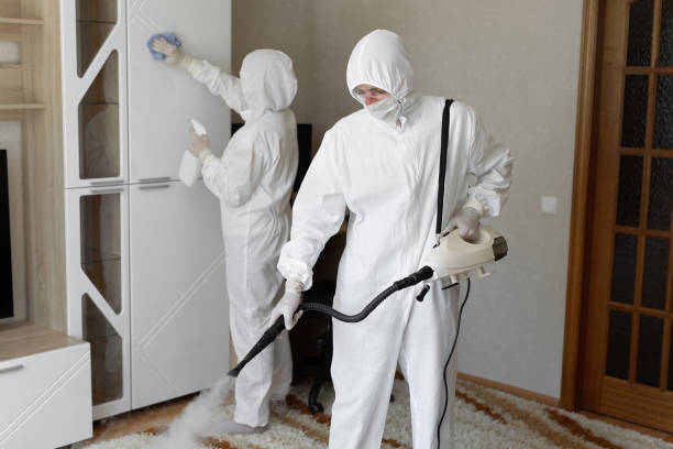 Trusted Sewage Cleanup service in Coleman, MI - Four Month Blood Cleanse